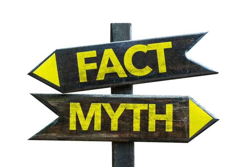 Common Misconceptions Professional Translator