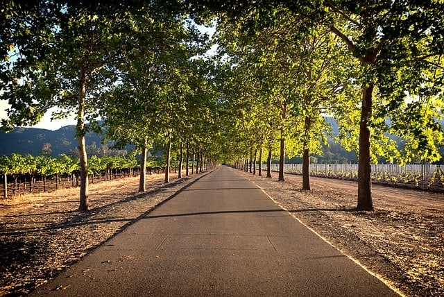 napa-valley